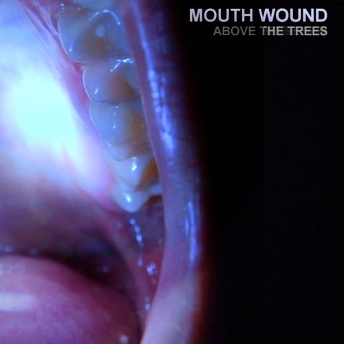 Mouth Wound
