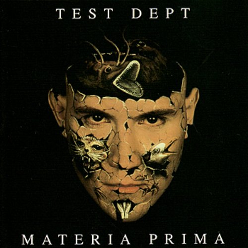 Materia Prima