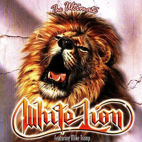 The Ultimate White Lion