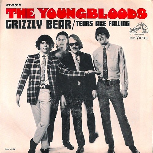 Grizzly Bear / Tears Are Falling