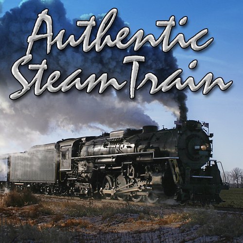 Authentic Steam Train