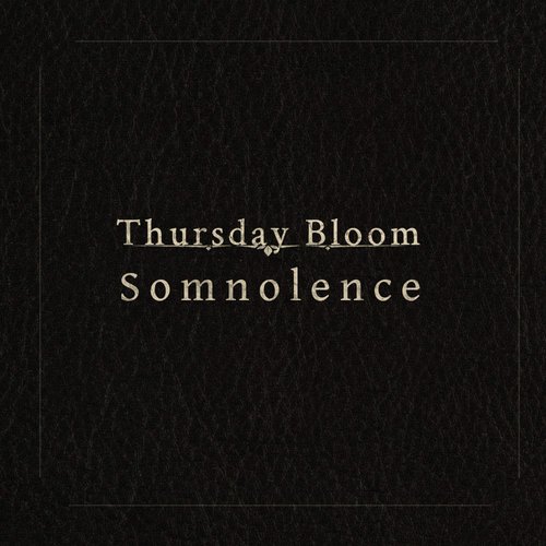 Somnolence