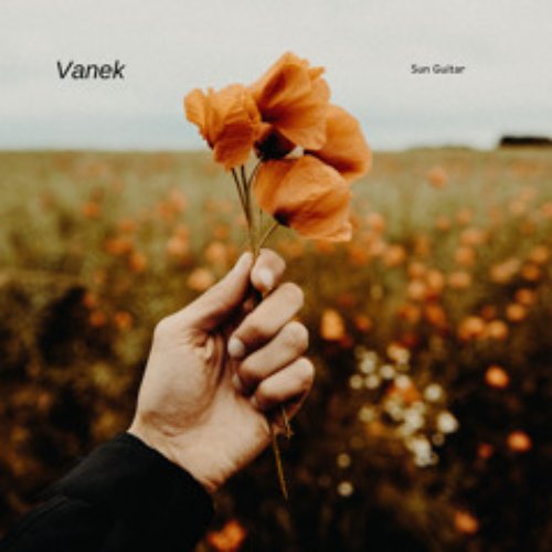 Vanek