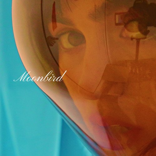 Moonbird