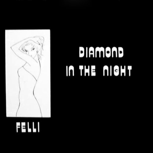 Diamond in the Night