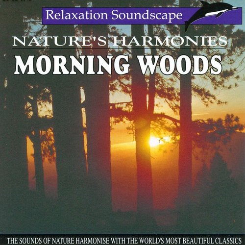 Morning Woods
