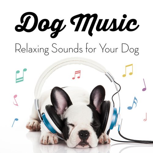 Music for Dogs - Relaxing Sounds for Your Dog