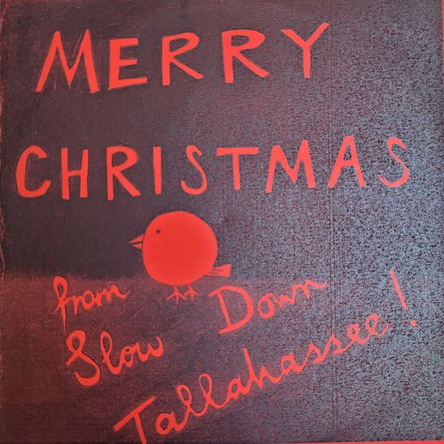 Merry Christmas From Slow Down Tallahassee!