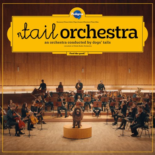 Tail Orchestra