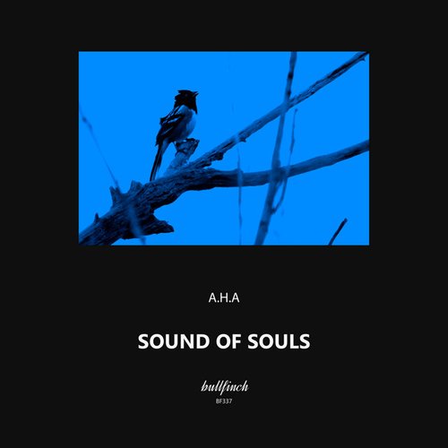 Sound of Souls - Single