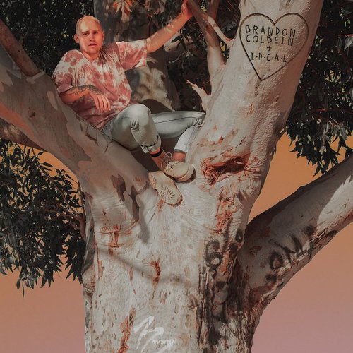 I.D.C.A.L - Single