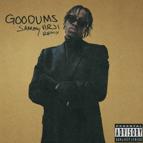 Goodums (Sammy Virji Remix)