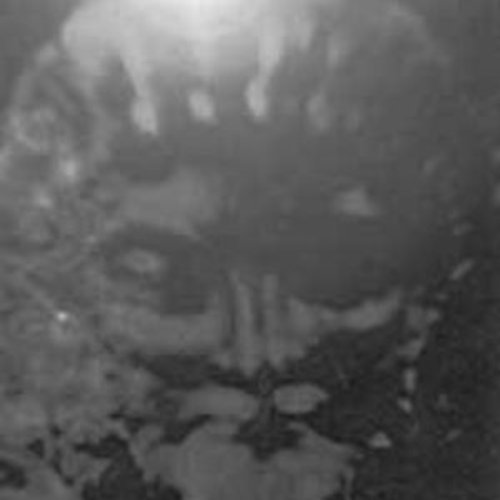 Eternal Kingdom Hades