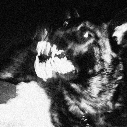 K-9 - Single