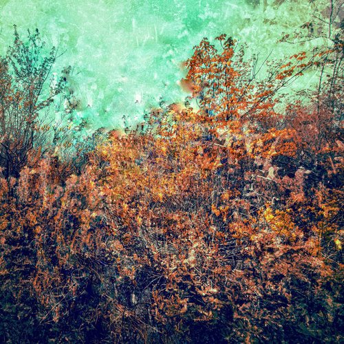 Rusting Mulch
