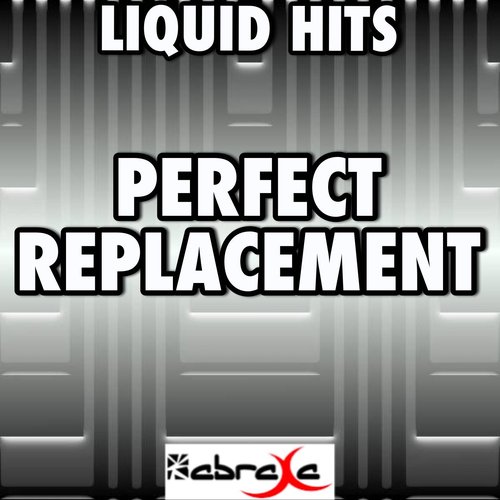 Perfect Replacement - A Tribute to Example