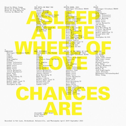 Asleep At The Wheel Of Love