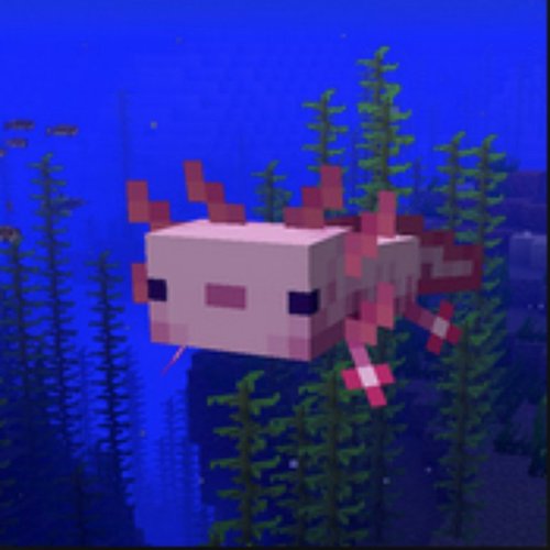 Axolotl in the Ocean