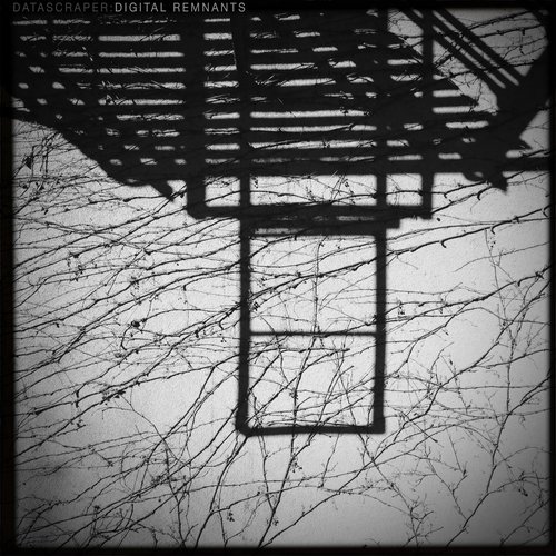 Digital Remnants