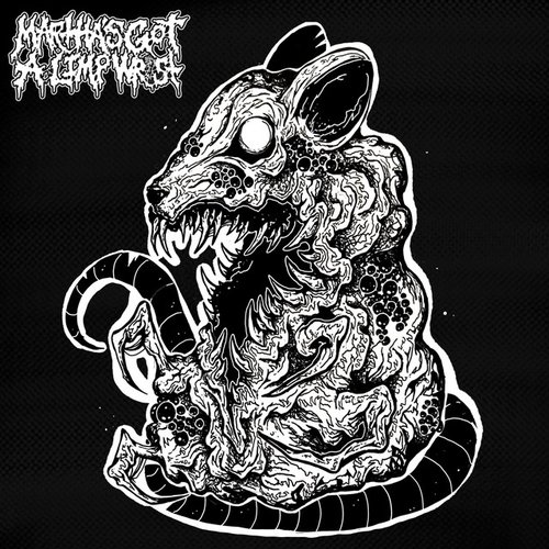 Year Of The Rat