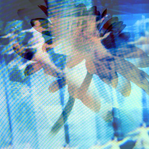 Legs - Single