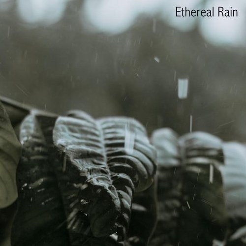 Ethereal Rain