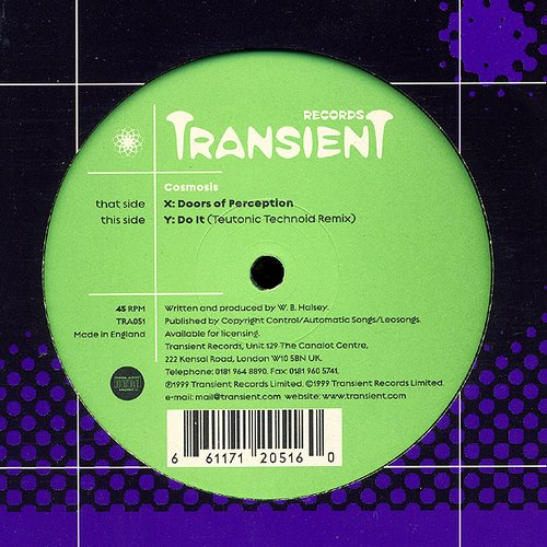 Doors Of Perception / Do It (Teutonic Technoid Remix)