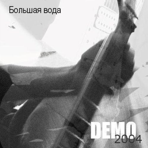 Demo 2004