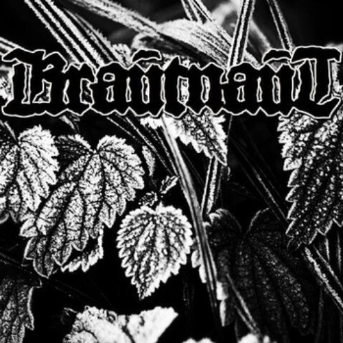 krautnaut