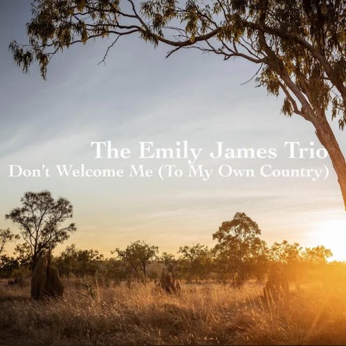 Don't Welcome Me (To My Own Country) - Single