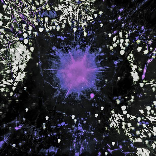 Bloom U