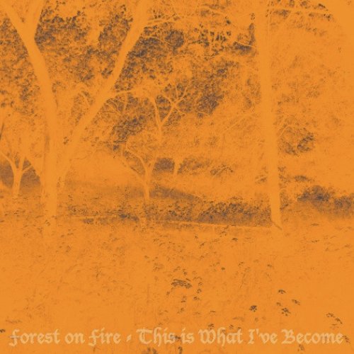 This Is What I've Become