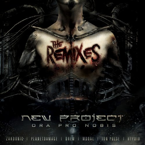 Ora Pro Nobis the Remixes