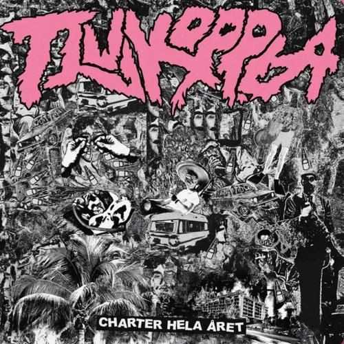 Charter hela året