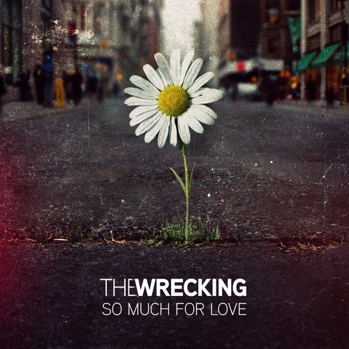 So Much For Love