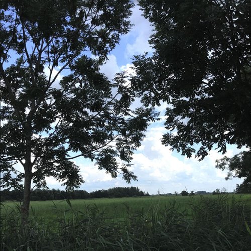 schönes_wetter
