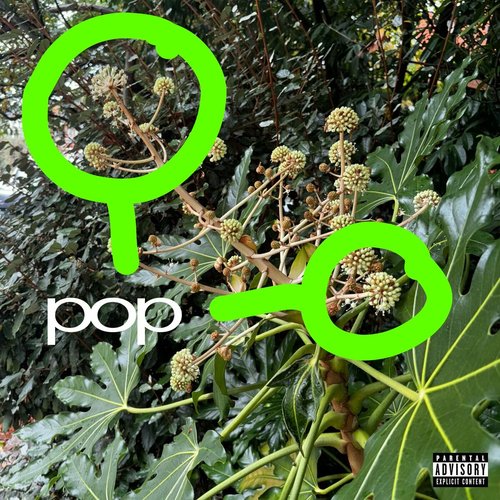 pop [Clean] [Clean]