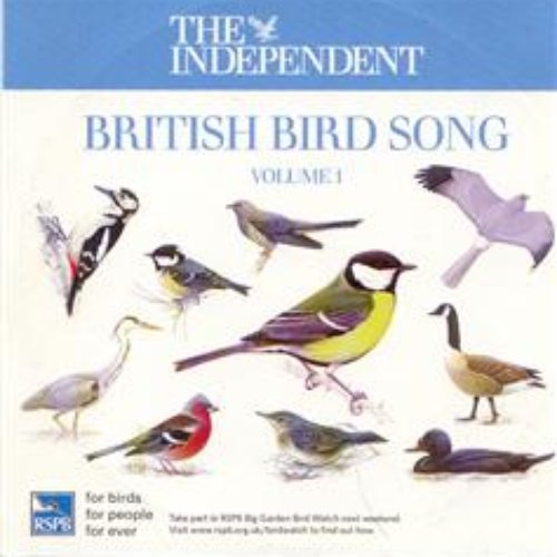 British Birdsong