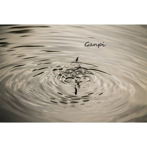 Ganpi
