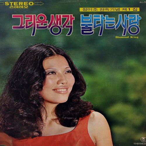 그리운 생각/불타는 사랑