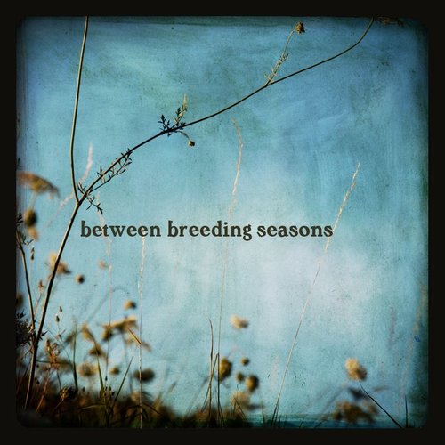 Between Breeding Seasons