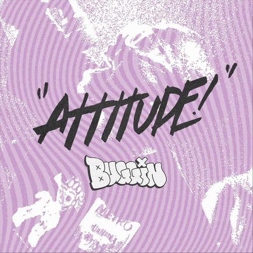 Attitude