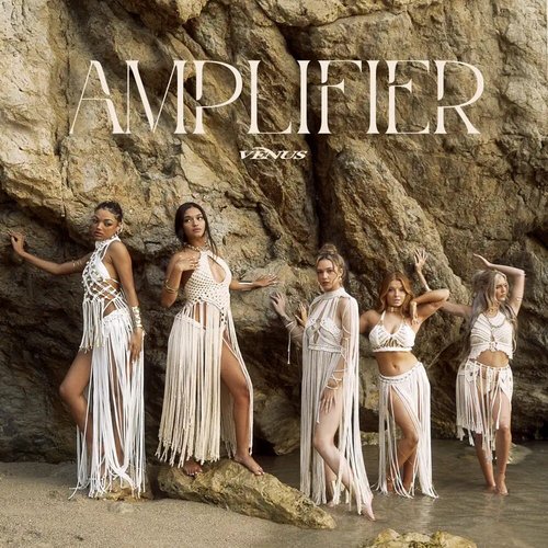 Amplifier - Single