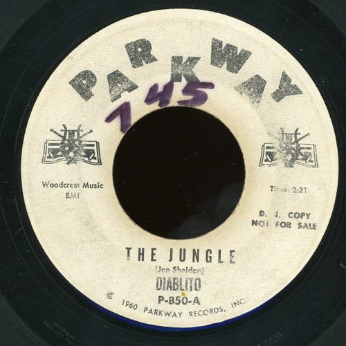 The Jungle
