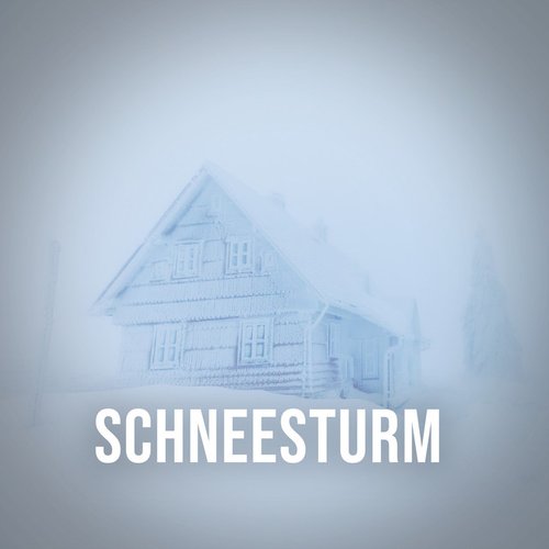 Schneesturm: Feel the Power of a Blizzard in the Heart of the Alps, White Noise Against Heavy Thoughts