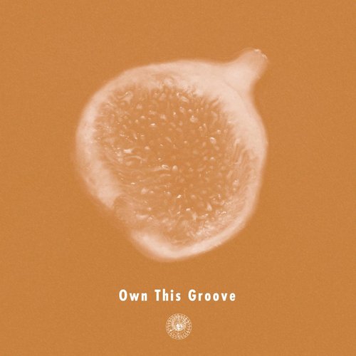 Own This Groove