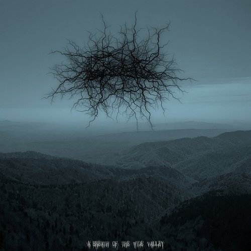 A Breath Of The Wide Valley
