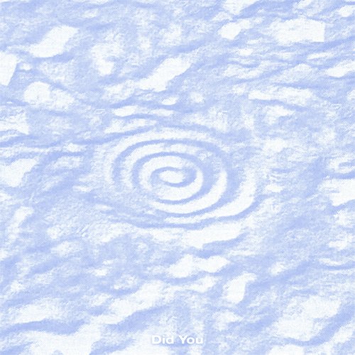 Did You - Single