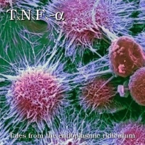 Tales from the endoplasmic ridiculum