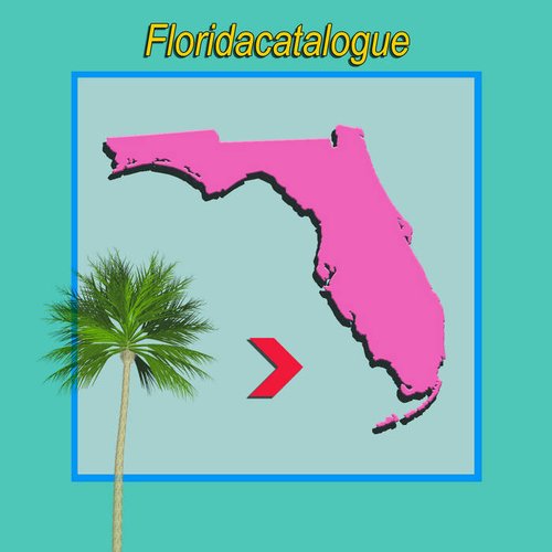FLORIDACATALOGUE / DMT​​-​​591